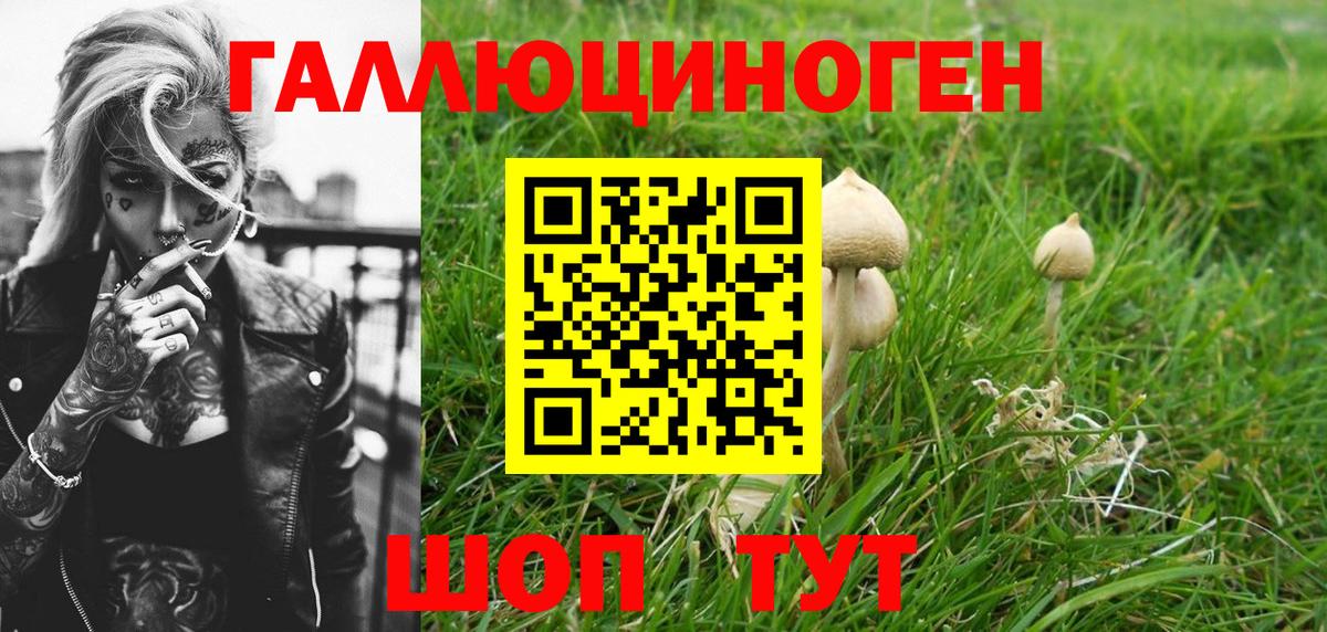 как найти наркотики  Вход с VPN  Городец  Галлюциногенные грибы MAGIC MUSHROOMS 