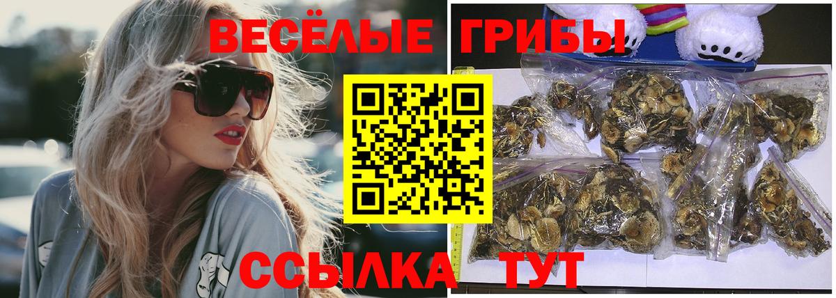 Псилоцибиновые грибы GOLDEN TEACHER Городец